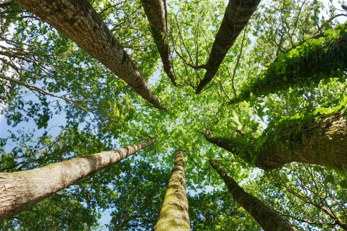 Grande Travessia pelo Vale do Leça 
