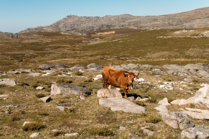 Viagem à Pré-História